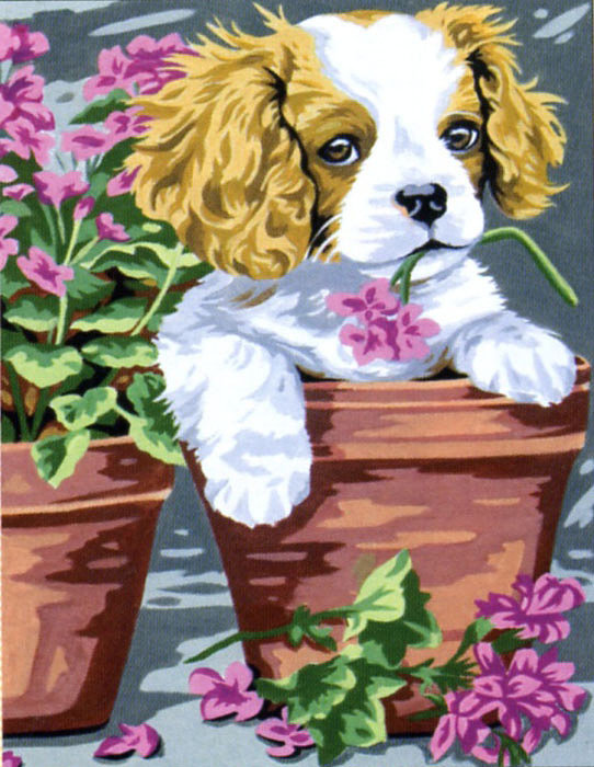 №89902 - животные, пейзаж - оригинал