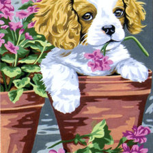 Схема вышивки «№89902»