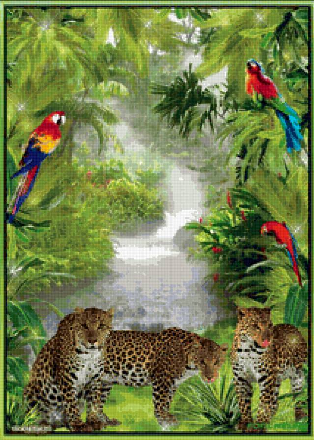 Леопарды - животные, кошки, леопарды - предпросмотр