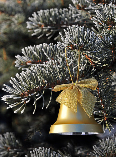Рождественский колокольчик - натюрморт, букет, новый год, зима - оригинал
