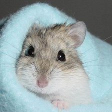 Схема вышивки «@112»