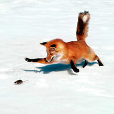 Схема вышивки «Эх, догоню!»