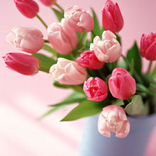 Схема вышивки «тюльпаны»