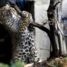 Схема вышивки «Забавный малыш»