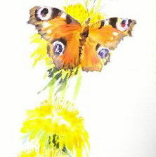 на прогулке Ольга Цурина