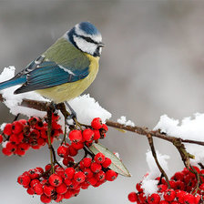 Схема вышивки «Можно и пообедать»