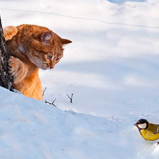 Схема вышивки «Давай знакомиться!»
