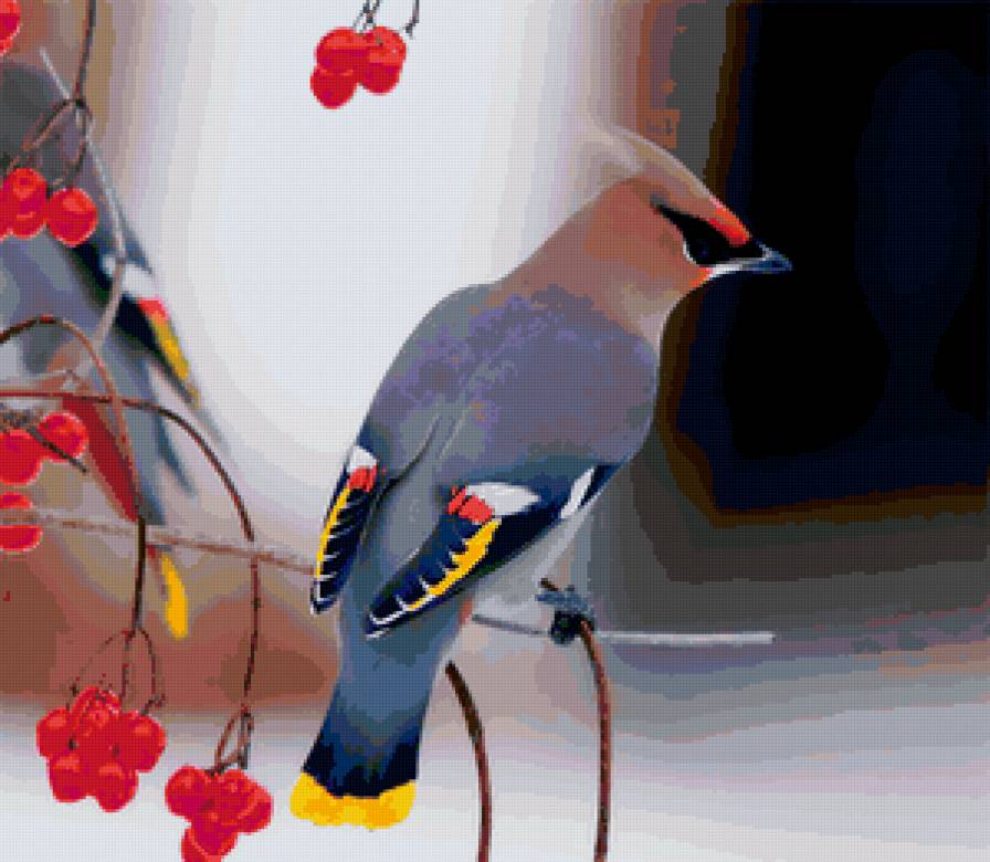 Свиристель - свиристели, птицы - предпросмотр