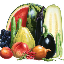 Вершки и корешки