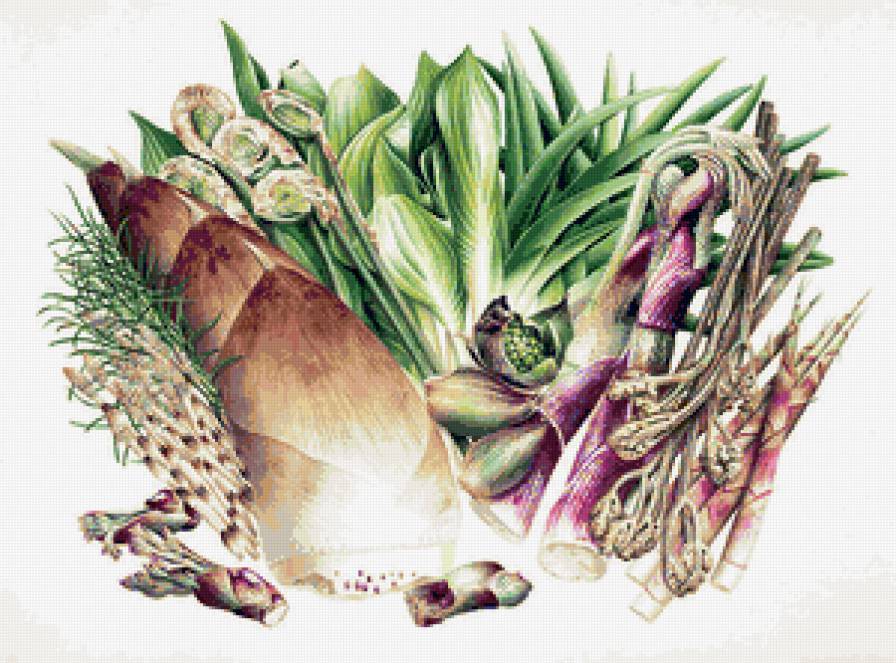 Вершки и корешки - фрукты, овощи - предпросмотр