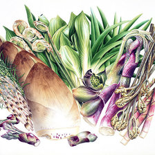 Вершки и корешки