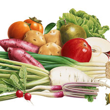 Схема вышивки «Вершки и корешки»