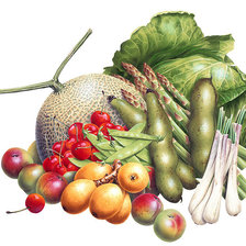 Вершки и корешки