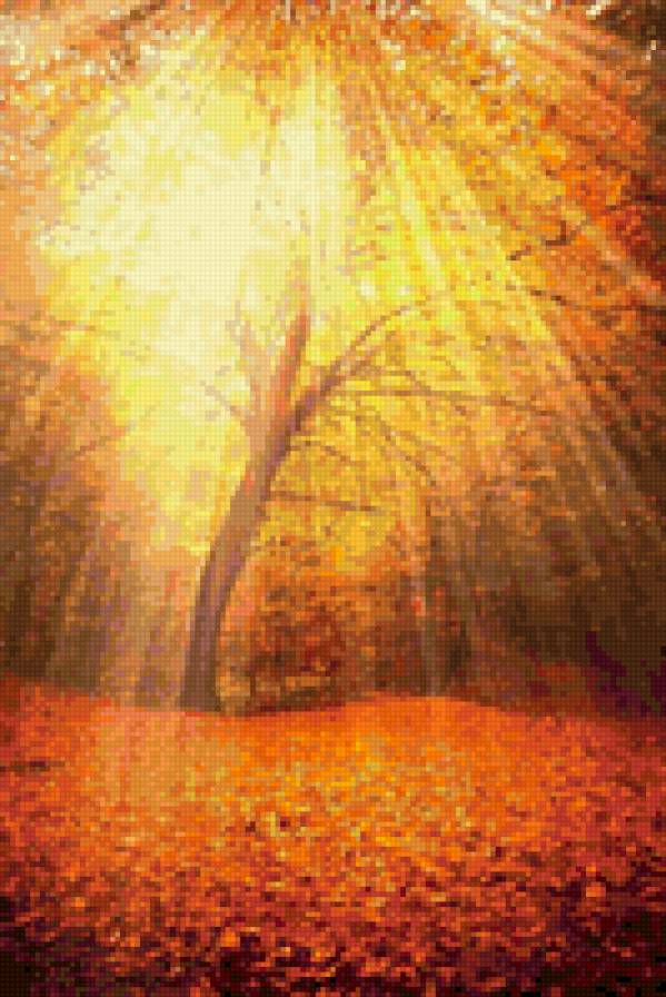 осень - солнечный день, осень - предпросмотр