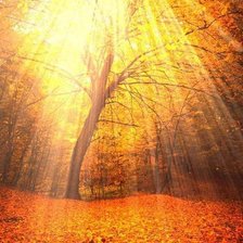 Схема вышивки «осень»