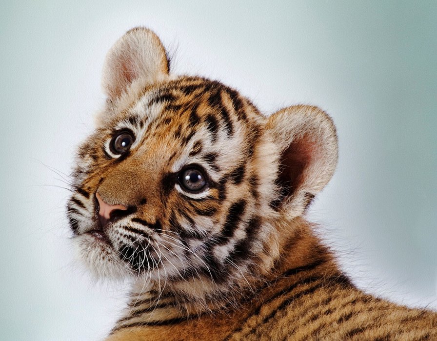 №90620 - оригинал