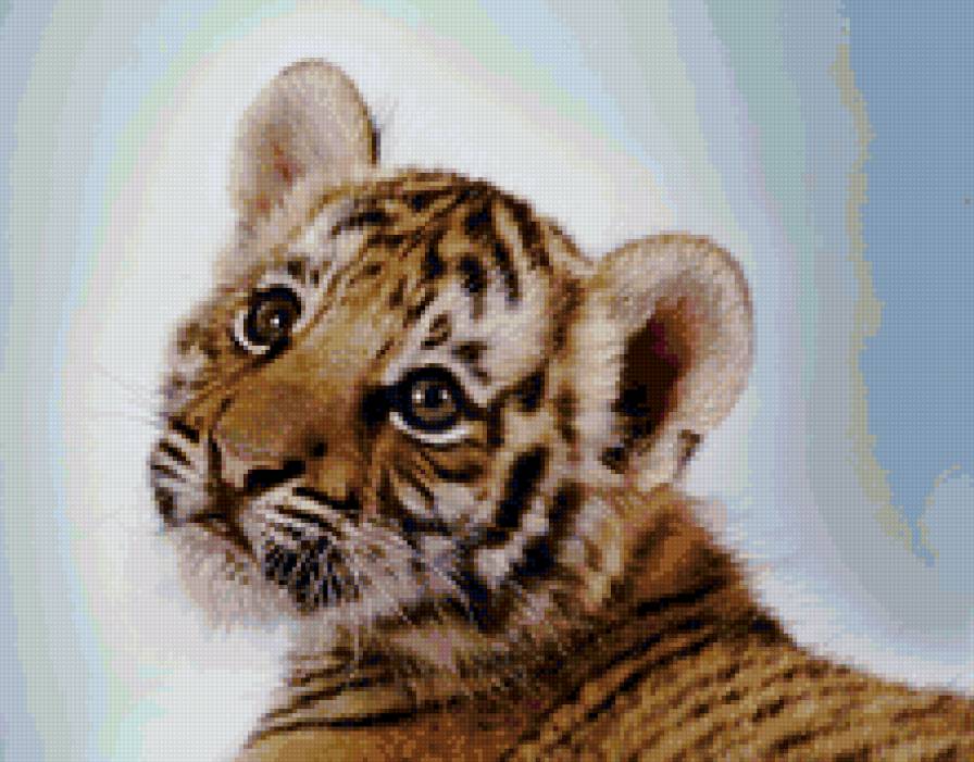 №90620 - предпросмотр