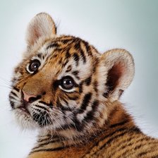 Схема вышивки «№90620»