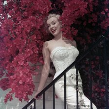 Схема вышивки «№90629»