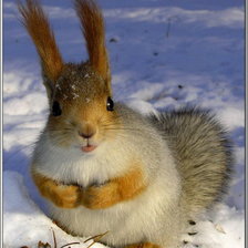 Схема вышивки «№90651»