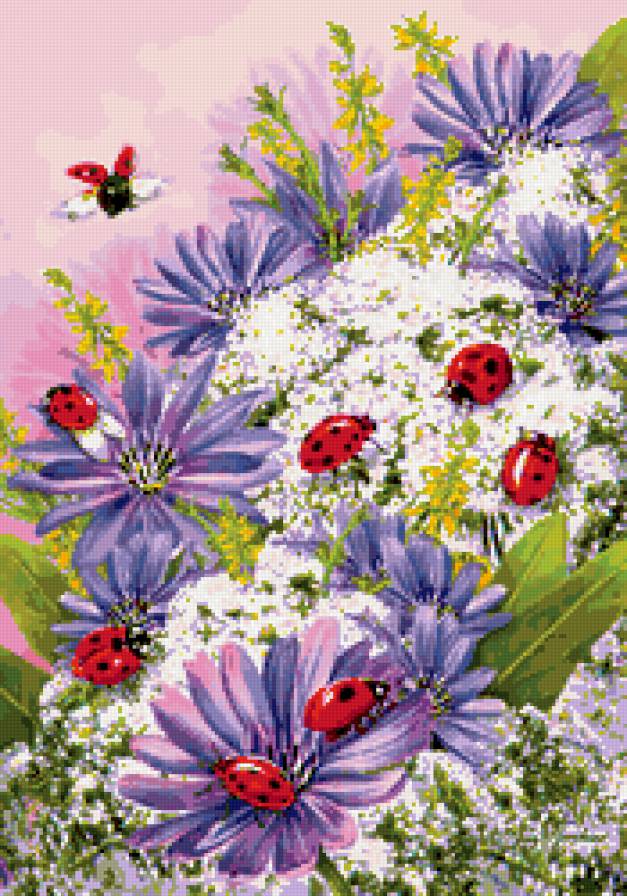 божьи коровки - цветы, божьи коровки - предпросмотр