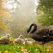 Схема вышивки «№90703»