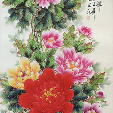 древесные пионы  2