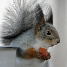 Схема вышивки «№90773»