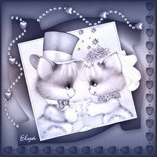 молодожены