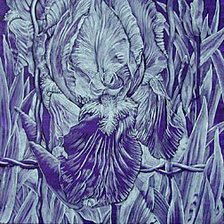 Схема вышивки «ирисы»