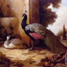 Схема вышивки «павлины»