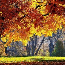 Схема вышивки «Осень»