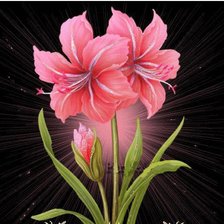 Схема вышивки «№90984»