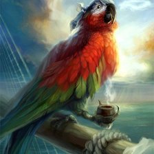 Схема вышивки «попугай»