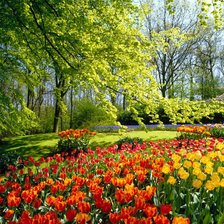 Схема вышивки «Пейзаж с тюльпанами»