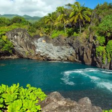 Схема вышивки «Река  в джунглях»