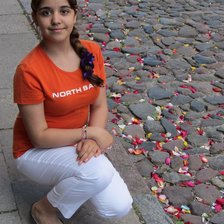 Схема вышивки «Дианочка»