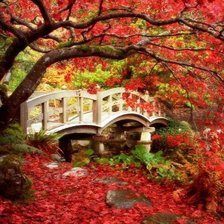 Схема вышивки «парк»