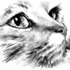 Схема вышивки «котик»