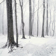 Схема вышивки «Зимний лес»