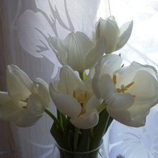 Схема вышивки «Тюльпанчики»