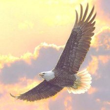 Схема вышивки «62»