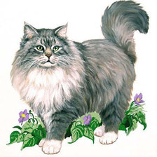 Схема вышивки «63»