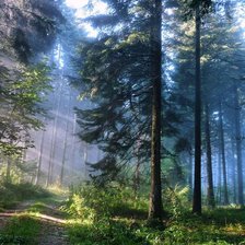 Схема вышивки «природа»