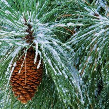 Схема вышивки «66»