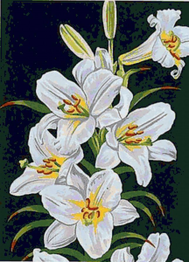 №92287 - букет, цветы - предпросмотр