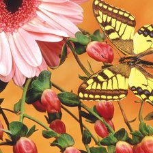 Схема вышивки «Бабочка на цветке»