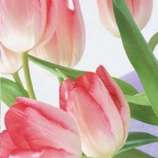 Схема вышивки «тюльпаны»