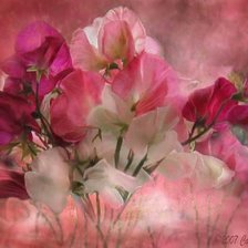 Схема вышивки «ирисы»