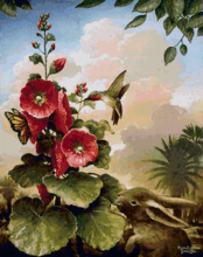 колибри - колибри, птицы, цветы - предпросмотр